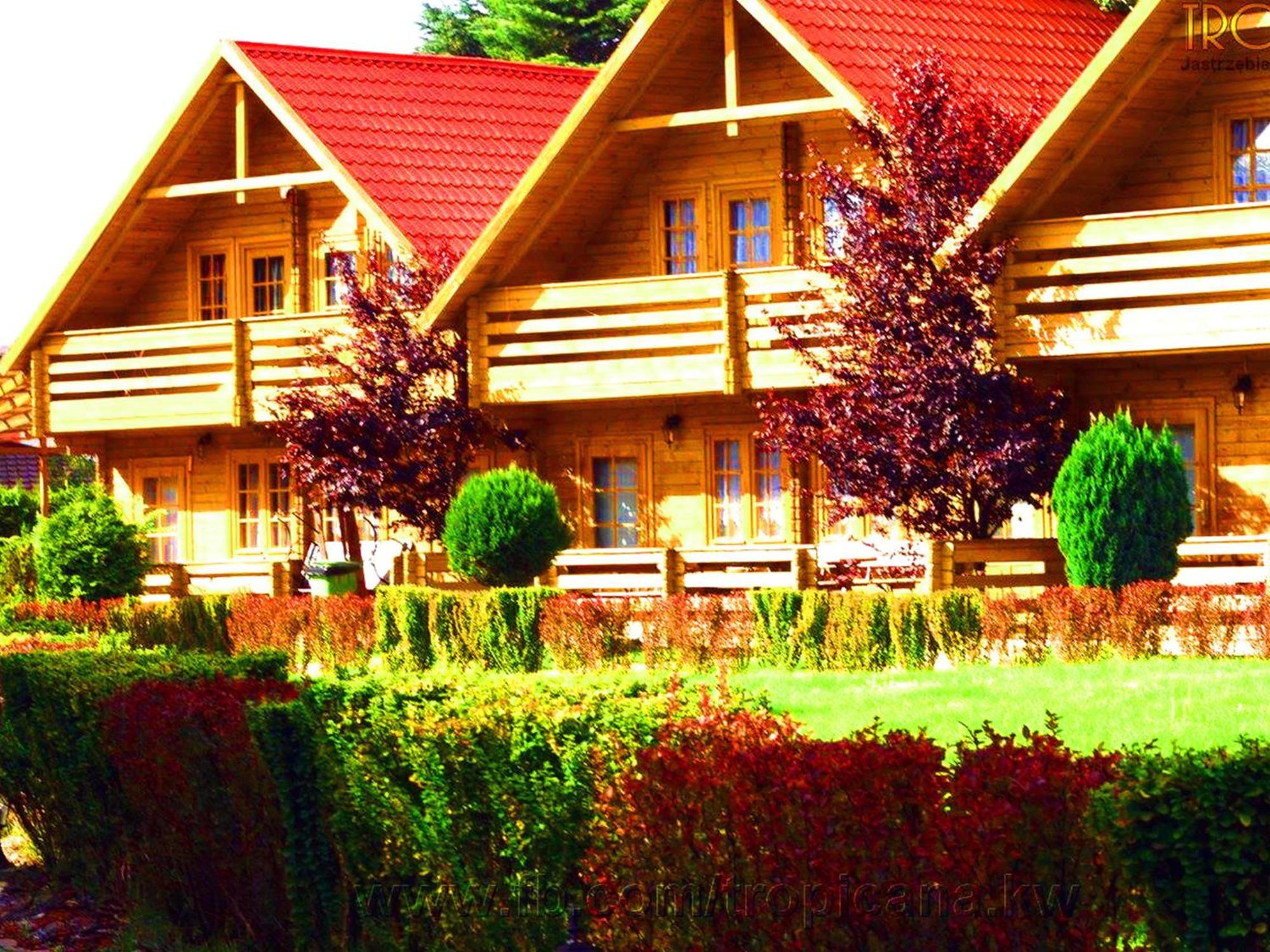 Tropicana Ϫϫ Holiday Houses Jastrzębia Góra Dış mekan fotoğraf